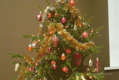 Happy-New-Year- (Happy New Year!)