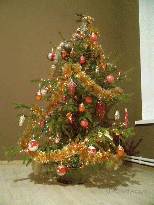 our christmas tree