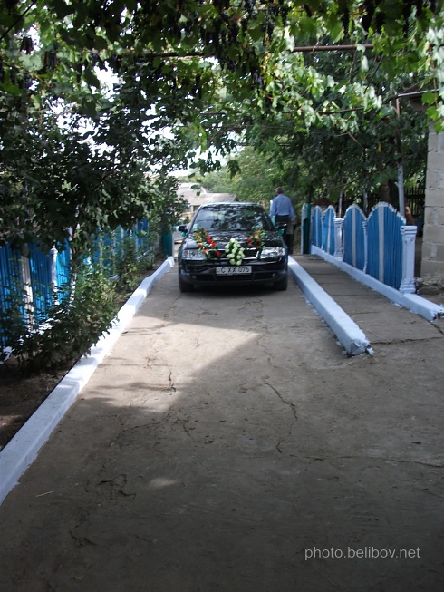 DSCF3570